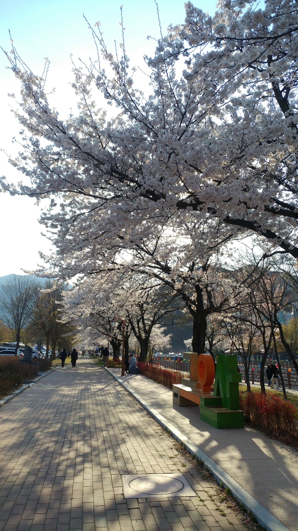 금오산 벚꽃축제