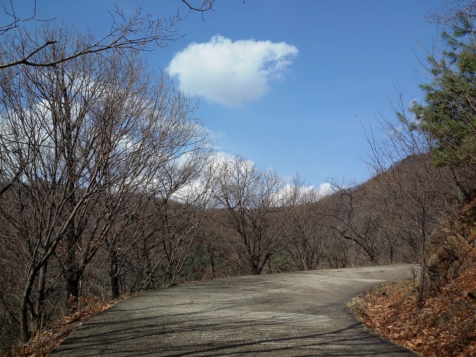 천마산, 봄바람난 년들을 찾아 나서다.
