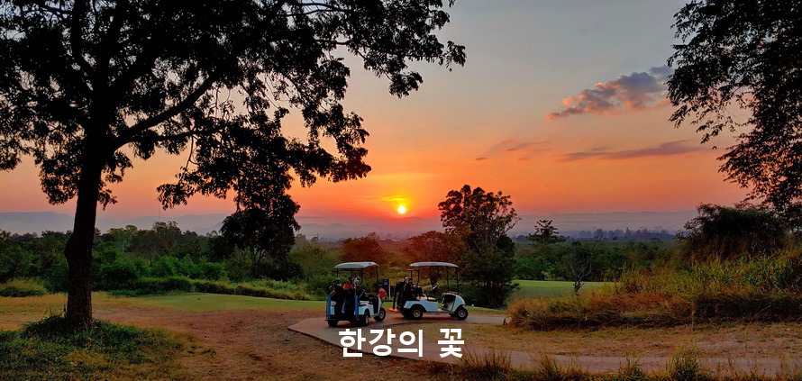 팍총의 여명과 알출