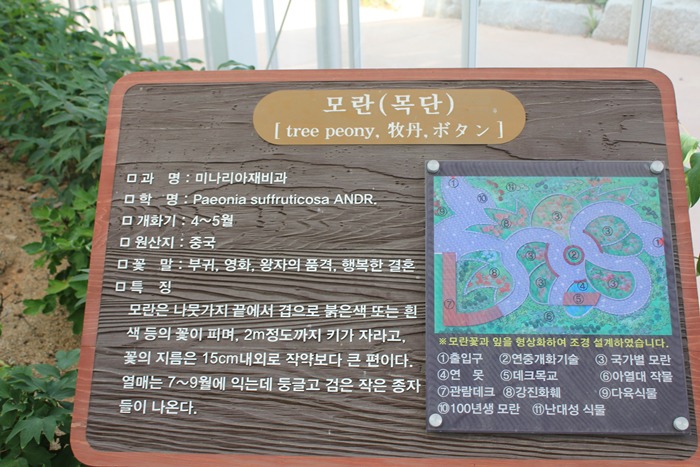 원본이미지(클릭)