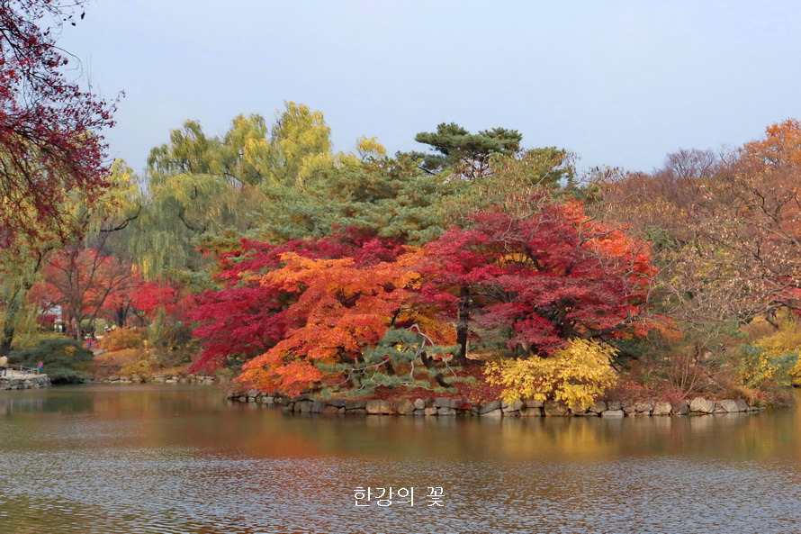 창경궁의 가을색
