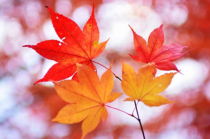 9972EF395D9EF56606A361