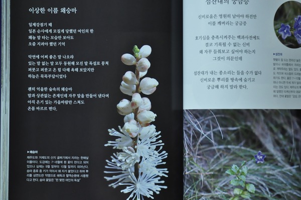 꽃노래(유유시집5)