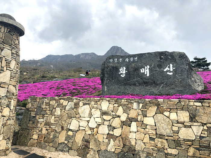 원본이미지(클릭)