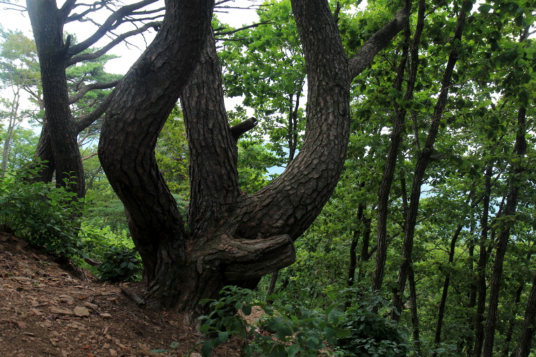* 가평 유명산, 어비산, 어비계곡 산행기