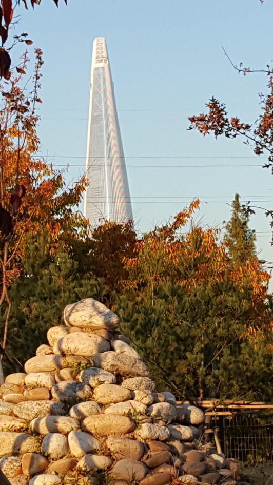 일원동 가을 풍경...