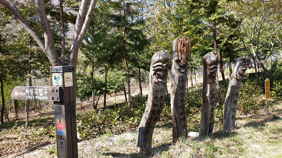 마산 무학산 진달래산행.