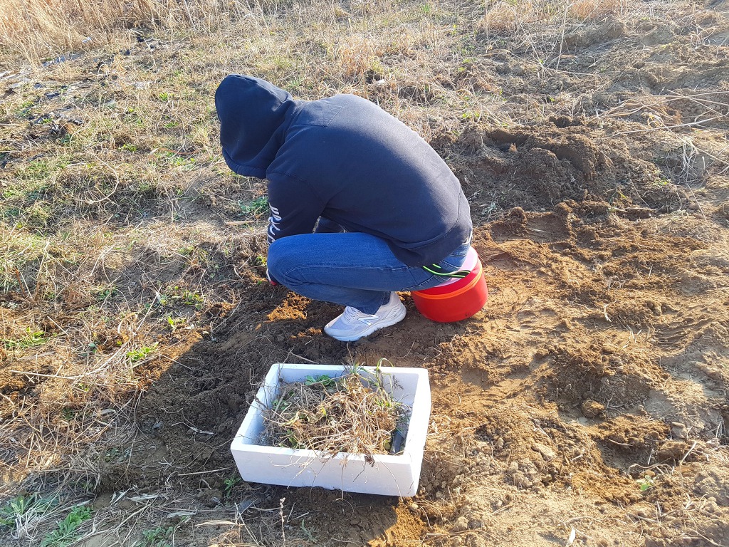 고성,삼척 대 화재 발생, 식목일 날인데...