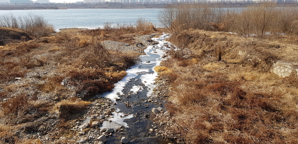 참 오랜만에 산책했다