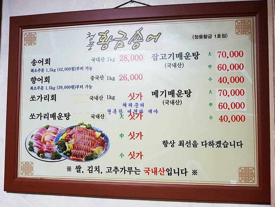 벚꽃명소 벚꽃축제 청풍호 케이블카 맛집 달큰 쫄깃한 청풍황금송어 충북 제천 여행