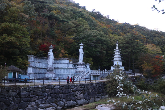 해인사소리길/합천삼겹살맛집/합천부자돼지