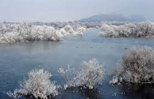 겨울풍경