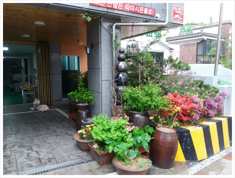 5월을 모두 다 행복하게 파이팅 해요~