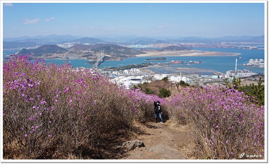 여수 진달래꽃 산행 명산 - 영취산 등산코스