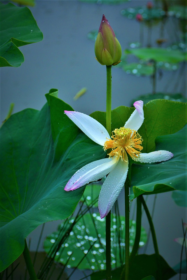 서오리 이미지