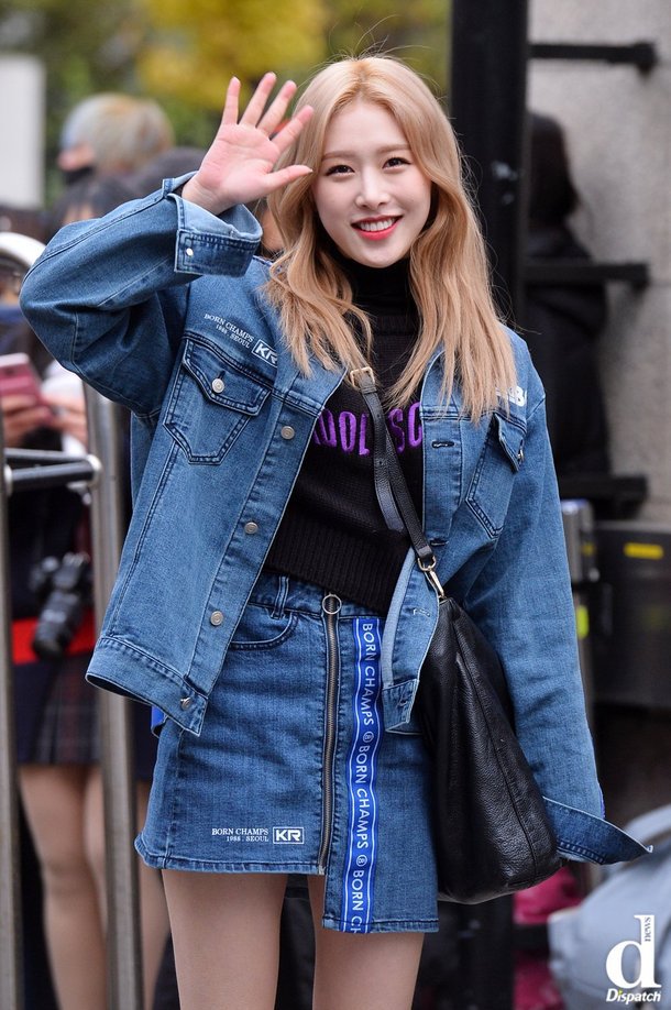 '소나무' 의진